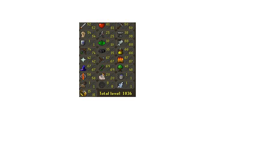 My LEVEL 55 RS