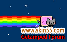 NNyan cat.png