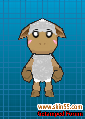 sheep