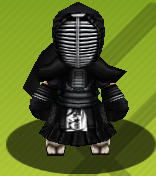 Kendo skin